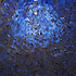 dreamsgallery